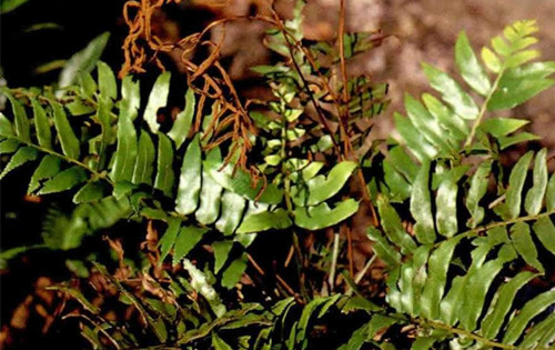 6205345905_d59a564256-160x160