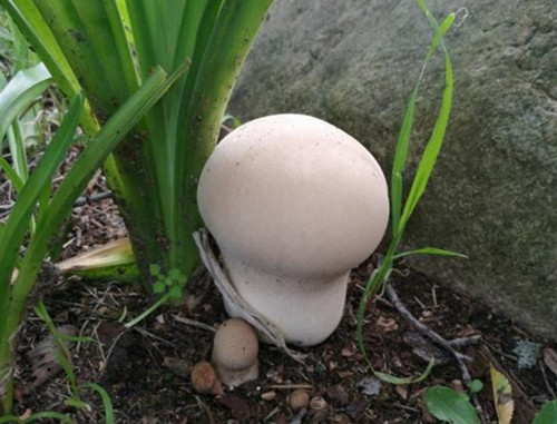 6205345905_d59a564256-160x160