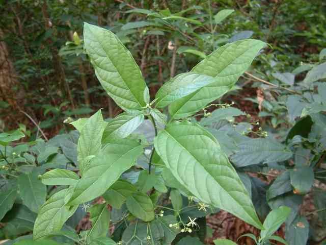 6205345905_d59a564256-160x160