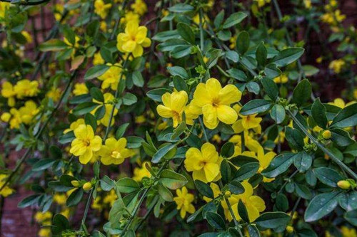 6205345905_d59a564256-160x160