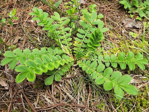 6205345905_d59a564256-160x160