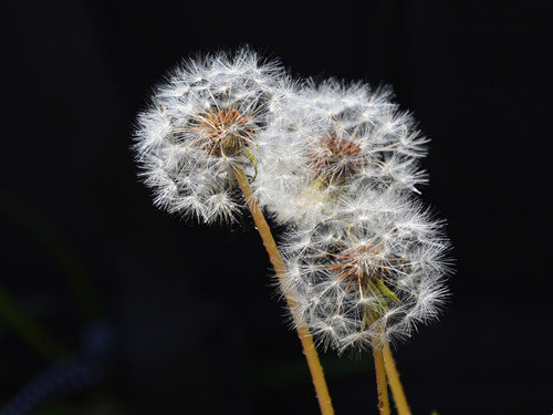 6205345905_d59a564256-160x160