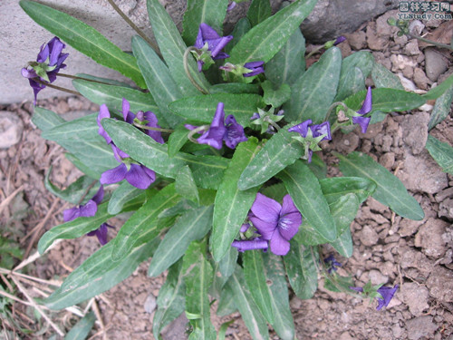 6205345905_d59a564256-160x160