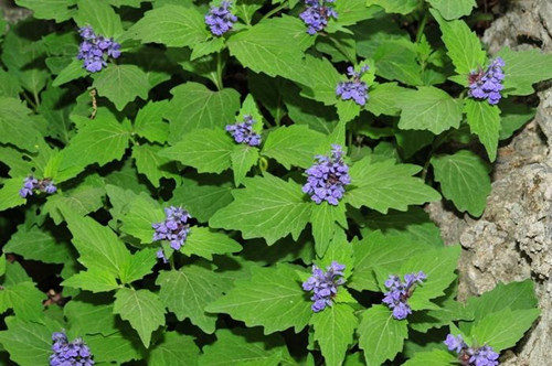 6205345905_d59a564256-160x160