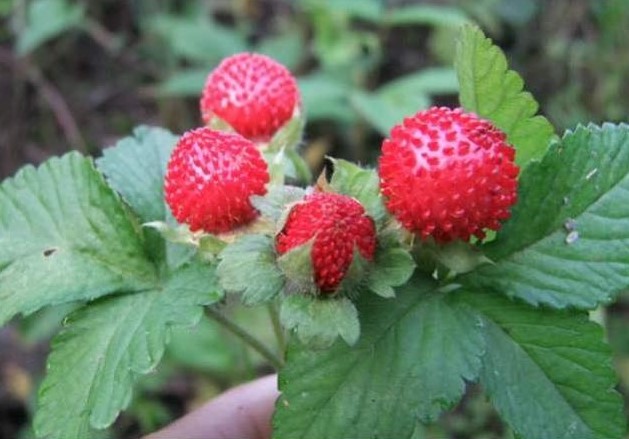 6205345905_d59a564256-160x160