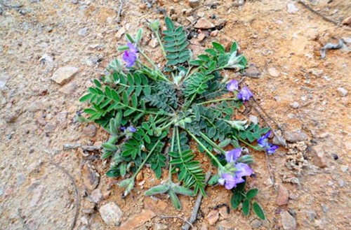 6205345905_d59a564256-160x160