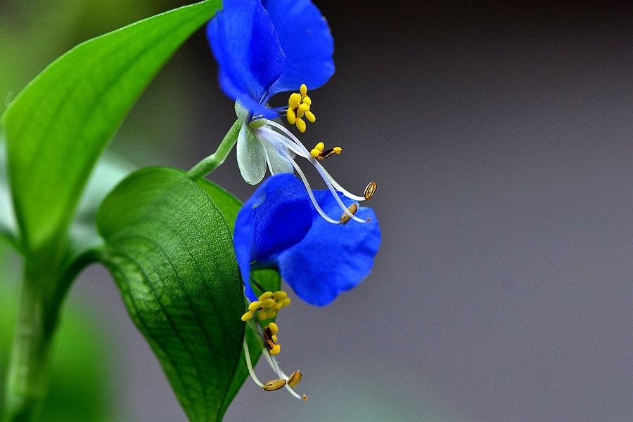 6205345905_d59a564256-160x160