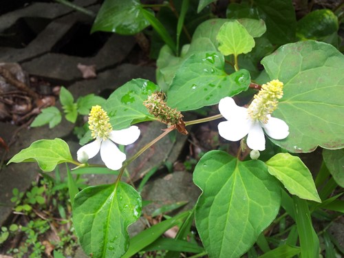 6205345905_d59a564256-160x160