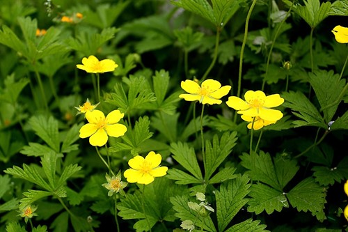 6205345905_d59a564256-160x160