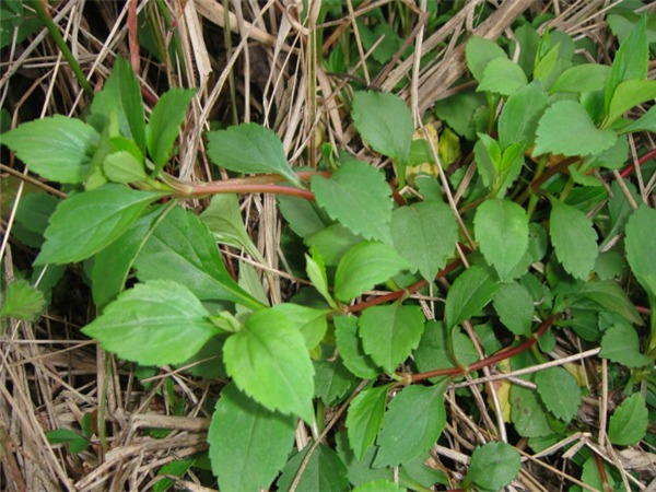 6205345905_d59a564256-160x160