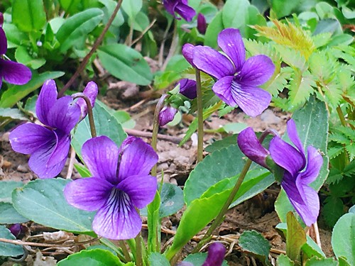 6205345905_d59a564256-160x160