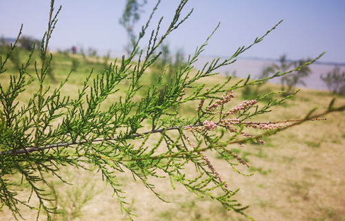 6205345905_d59a564256-160x160