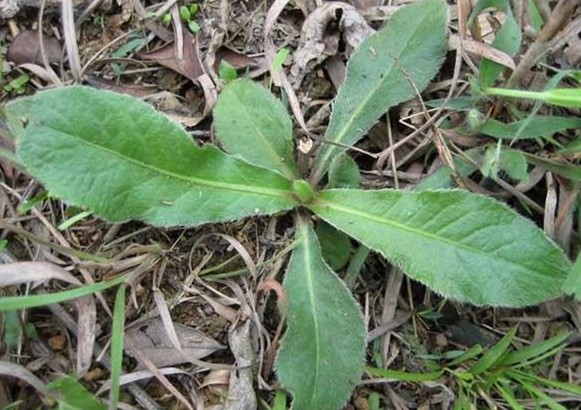 6205345905_d59a564256-160x160