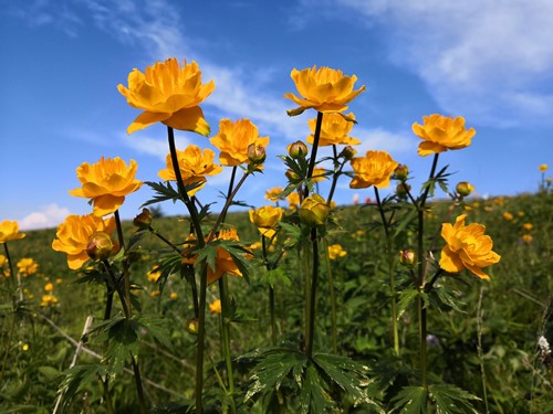 6205345905_d59a564256-160x160