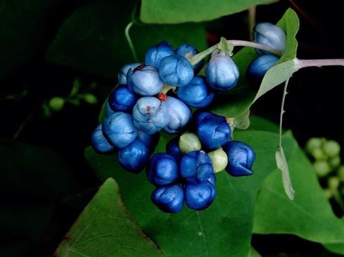 6205345905_d59a564256-160x160