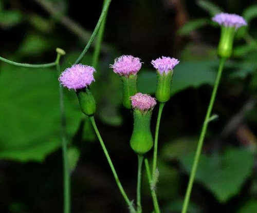 6205345905_d59a564256-160x160