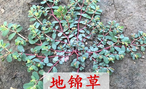 6205345905_d59a564256-160x160