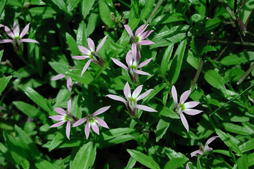 6205345905_d59a564256-160x160