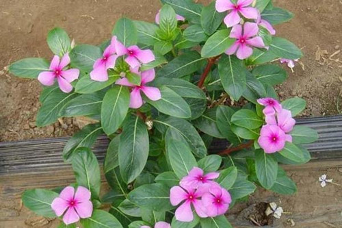 6205345905_d59a564256-160x160