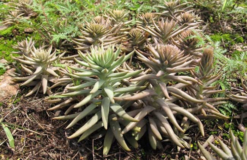 6205345905_d59a564256-160x160