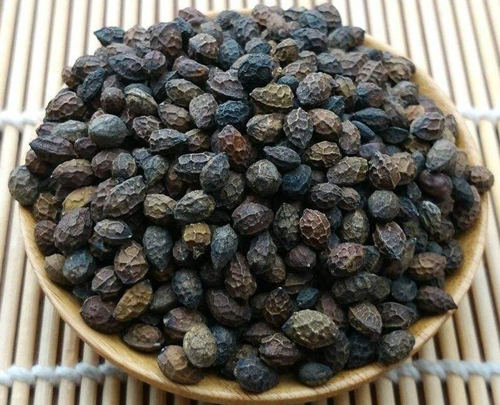 6205345905_d59a564256-160x160