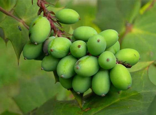 6205345905_d59a564256-160x160