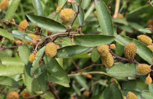 6205345905_d59a564256-160x160