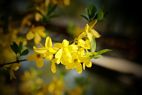 6205345905_d59a564256-160x160