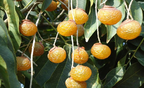 6205345905_d59a564256-160x160