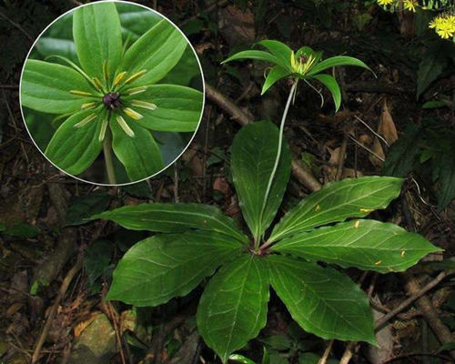 6205345905_d59a564256-160x160