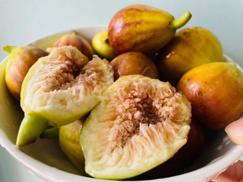 6205345905_d59a564256-160x160