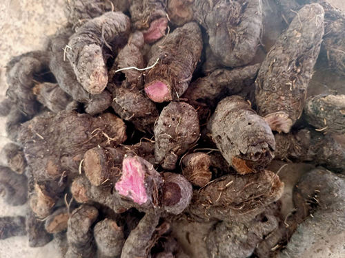 6205345905_d59a564256-160x160