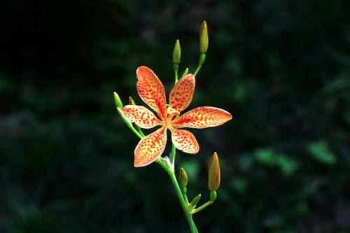 6205345905_d59a564256-160x160