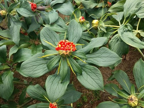 6205345905_d59a564256-160x160