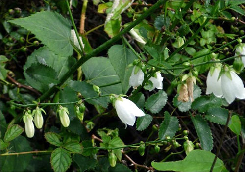 6205345905_d59a564256-160x160