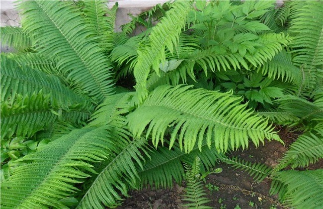 6205345905_d59a564256-160x160