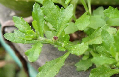 6205345905_d59a564256-160x160