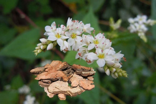 6205345905_d59a564256-160x160