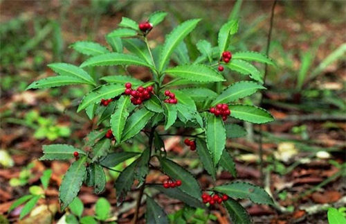 6205345905_d59a564256-160x160