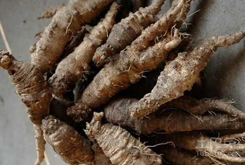 6205345905_d59a564256-160x160