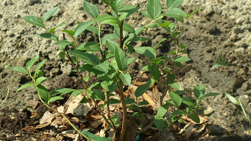 6205345905_d59a564256-160x160