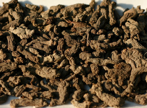 6205345905_d59a564256-160x160