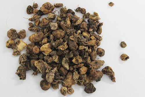 6205345905_d59a564256-160x160