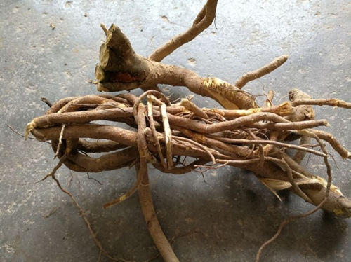 6205345905_d59a564256-160x160