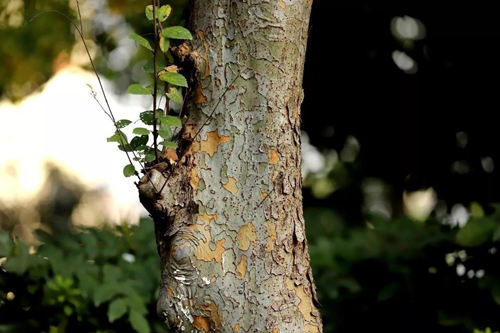 6205345905_d59a564256-160x160