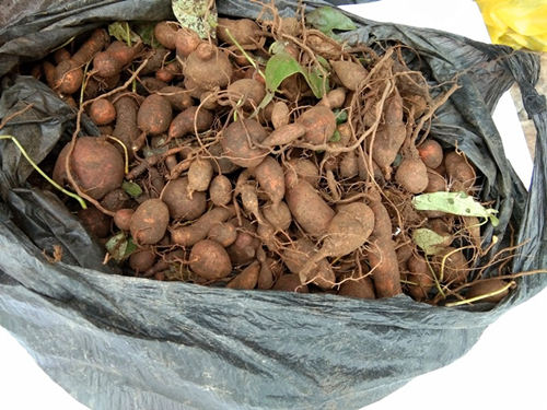 6205345905_d59a564256-160x160