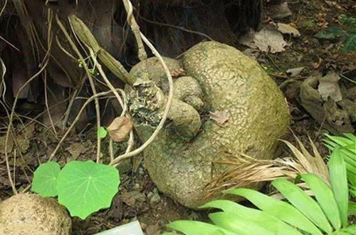 6205345905_d59a564256-160x160