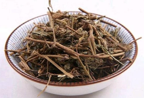 6205345905_d59a564256-160x160