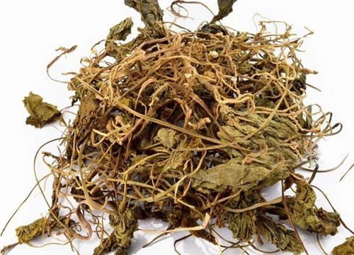 6205345905_d59a564256-160x160