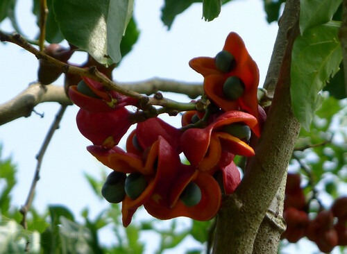 6205345905_d59a564256-160x160